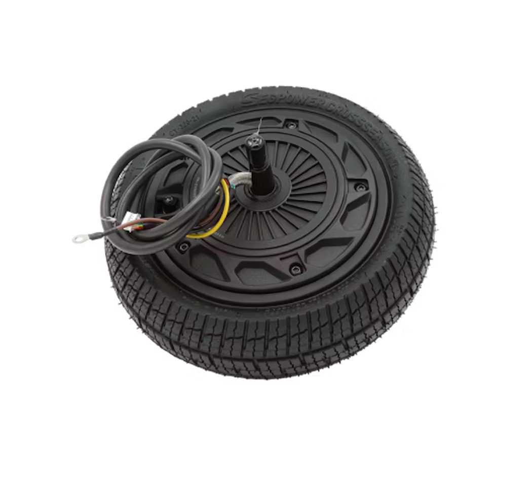 Wheel Hub Motor Assembly - P100S and P65